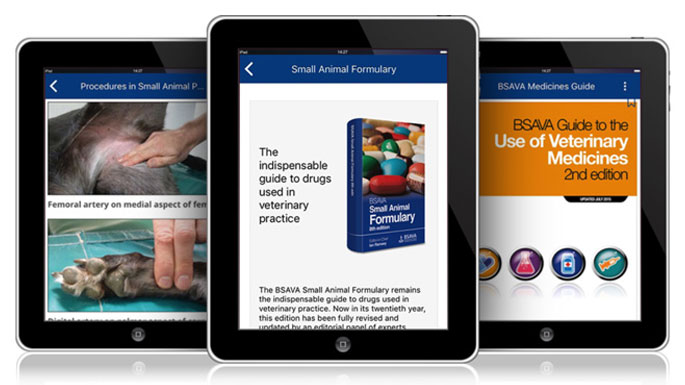 Three digital tablets, showing different parts of the MyBSAVA section of bsava.com