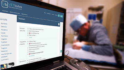 A vet surgeon working in the background, with VETbytes displayed on a computer screen in the foreground