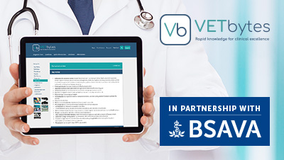 A vet in a white coat, holds a digital tablet with VETbytes on the screen. VETbytes in partnership with BSAVA