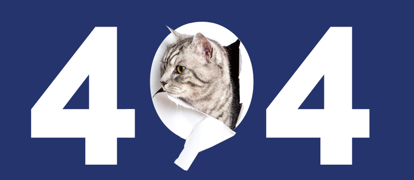 404 logo. A cat is appearing from the zero in the picture