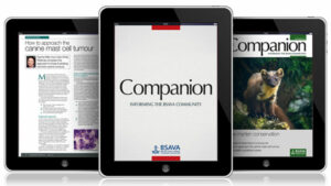 The Companion app displayed on three digital tablets