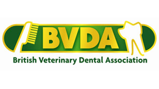 British Veterinary Dental Association (BVDA) logo