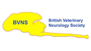 The British Veterinary Neurology Society (BVNS) logo