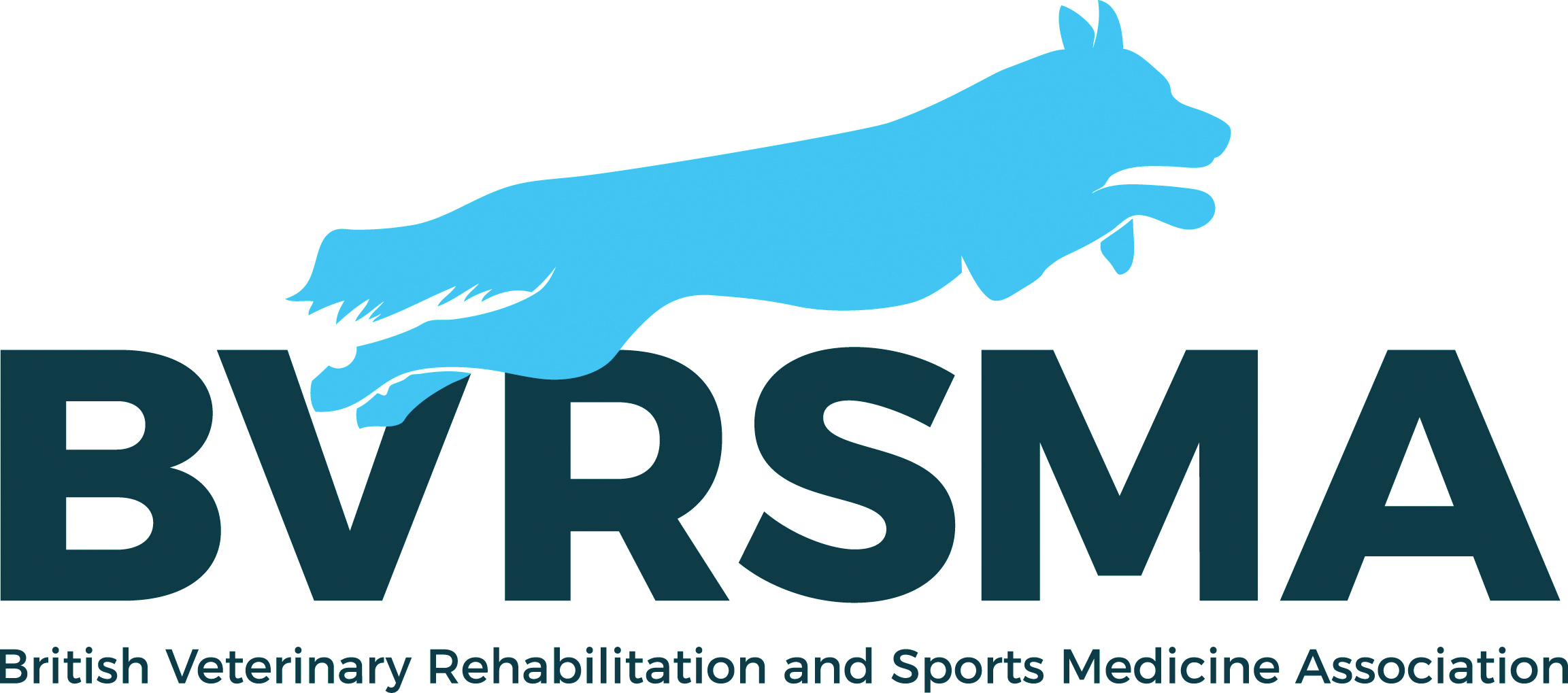 BVRSMA - British Veterinary Rehabilitation and Sports Medicine Association logo