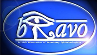 British Association of Veterinary Ophthalmologists (BrAVO) logo