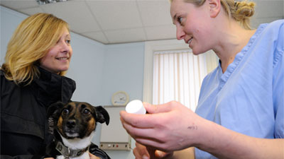 A pet owner with their dog, as a vet talks through a routine checkup