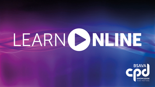 Learn Online by BSAVA, our programme of online CPD courses for veterinary professionals