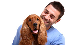 Person smiling and sat with their Springer Spaniel dog