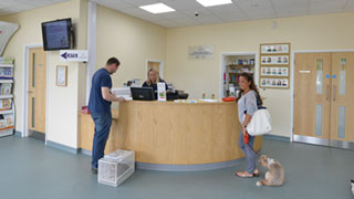 Pet owners at a veterinary practice's reception area