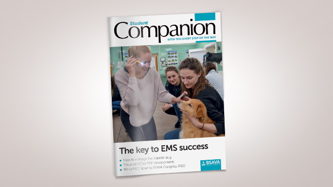 BSAVA Student Companion magazine issue. With you every step of the way. This issue, the key to EMS success!