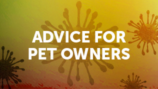 Advice for pet owners