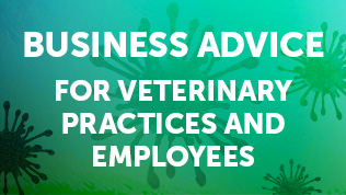 Business advice for veterinary practices and employees