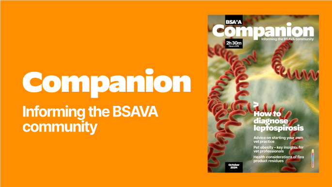 Three sample issues of the BSAVA Companion magazine. Informing the BSAVA veterinary community