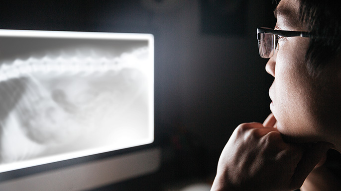 Surgeon looking at an x-ray of their patient on a computer screen.