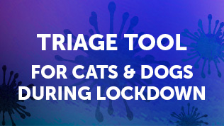 Triage tool for cats & dogs during lockdown measures