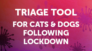 Triage tool for cats & dogs following lockdown