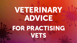 Veterinary advice for practising vets