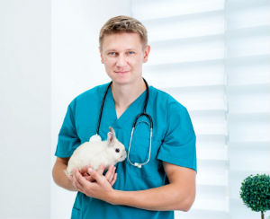 A veterinary nurse holding a white rabbit in his arms