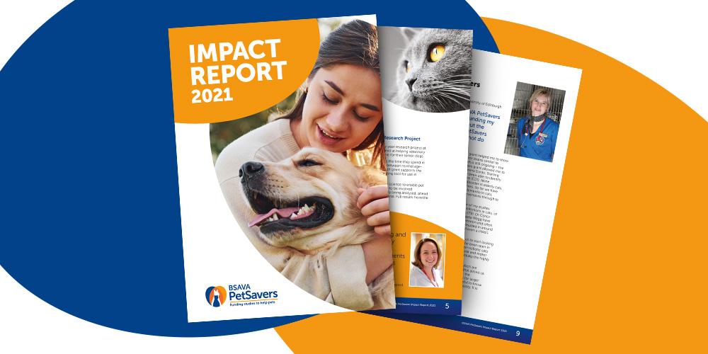 BSAVA PetSavers Impact Report 2021