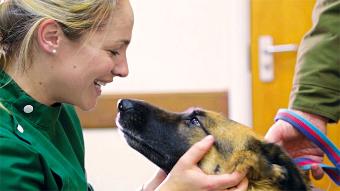 A vet smiling and stroking a dog that has been brought into her surgery room by its owner