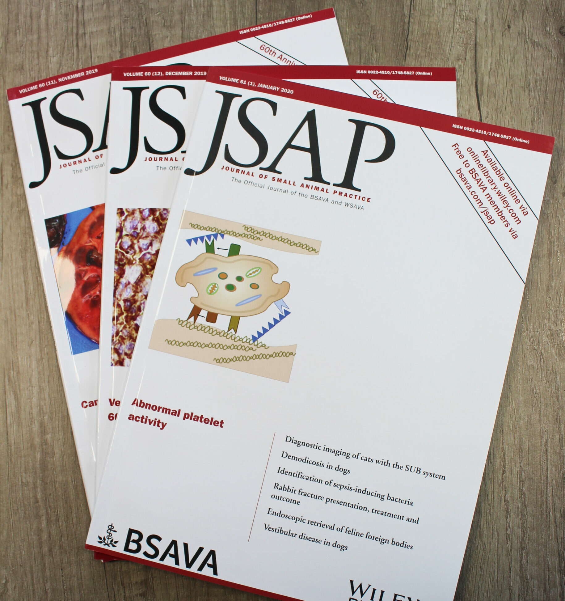 Three editions of the BSAVA Journal of Small Animal Practice (JSAP) magazine