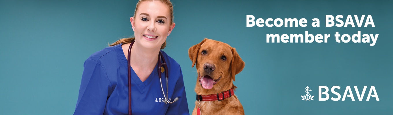 Become a BSAVA member today. Female vet smiling in to the camera, with a large brown dog sat next to her