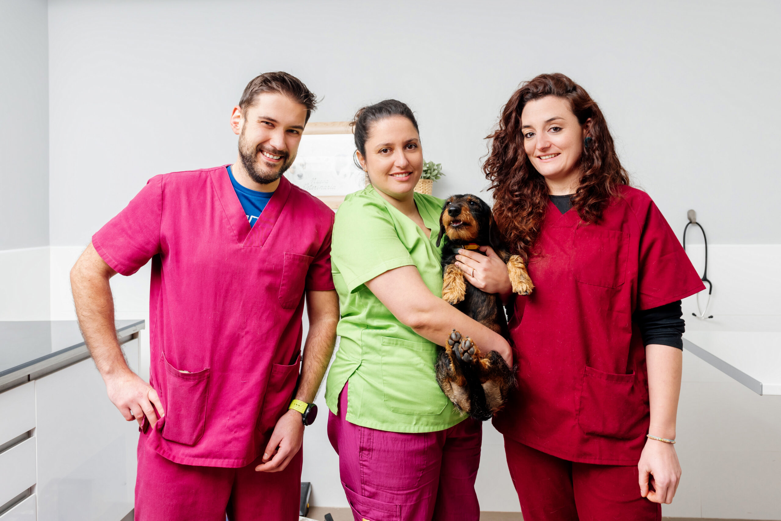Vets and vet nurses smiling at the camera, in a veterinary surgery. One is holding a brown dog.