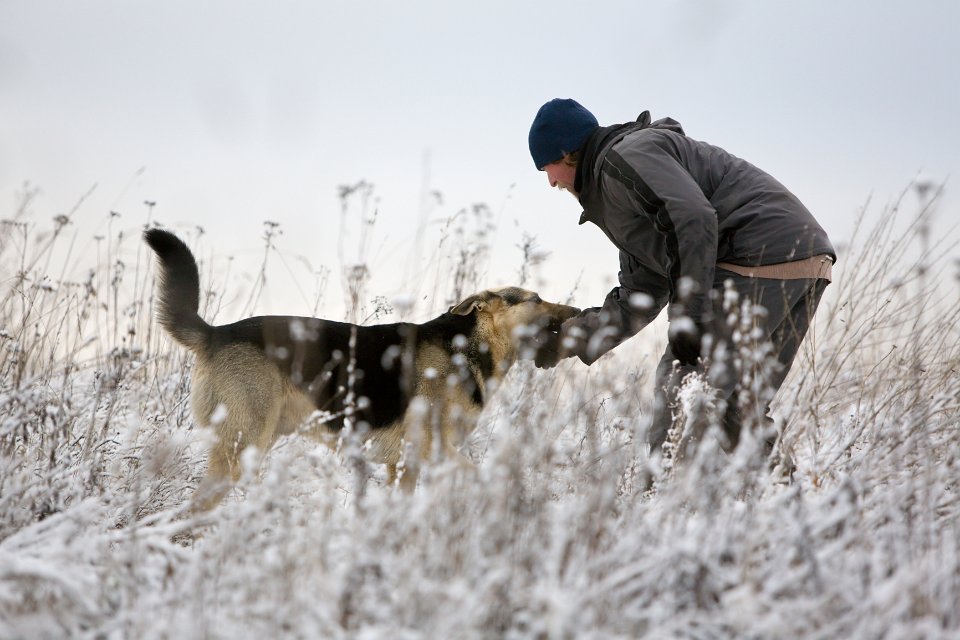 Person taking their dog for a walk in a frosty winter field
