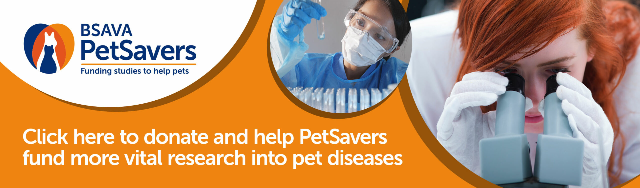 BSAVA PetSavers - Click to donate and help fund more vital research into pet diseases