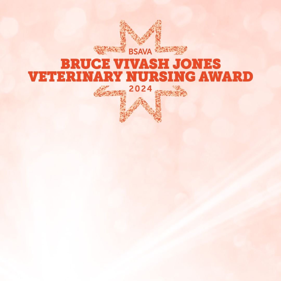 BSAVA Bruce Vivash Jones Veterinary Nursing Award 2024 logo