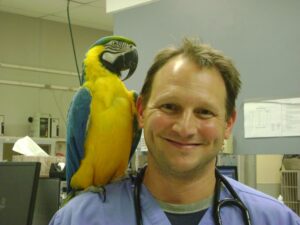 BSAVA Awards - Bourgelat Award - Dr Greg Lisciandro - Winner 2023 