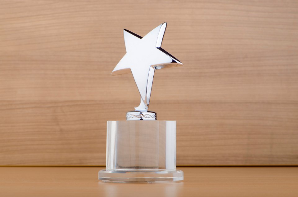 BSAVA PetSavers - Award trophy