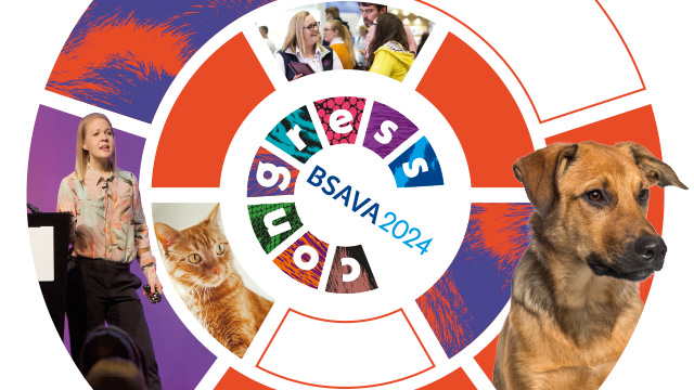 BSAVA Congress 2024 logo - Find out more